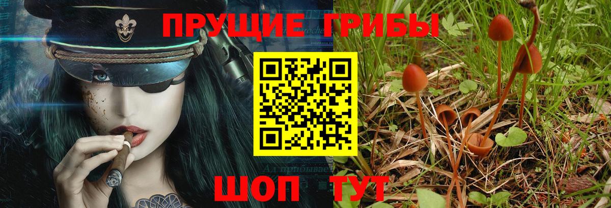 Галлюциногенные грибы GOLDEN TEACHER Копейск