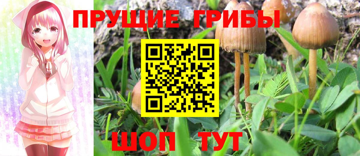 Галлюциногенные грибы Cubensis  Галлюциногенные грибы мухоморы  Копейск  Вход с VPN 